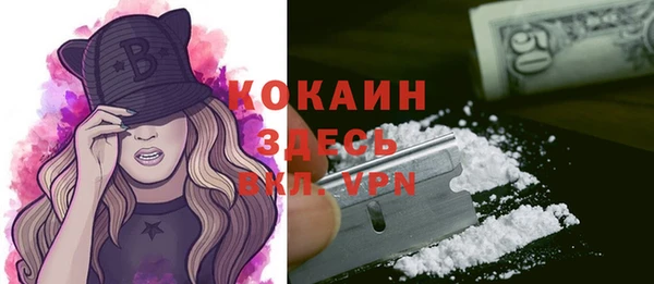 шишки Балахна