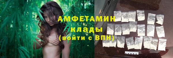 шишки Балахна