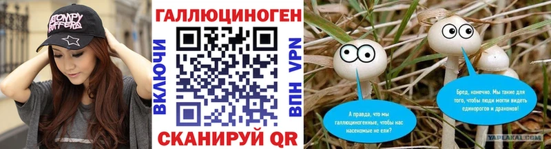Купить где  Лангепас  Псилоцибиновые грибы Psilocybine cubensis 